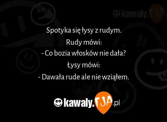 Dowcipy o lisie: Najlepsze kawały o rudym spryciarzu!